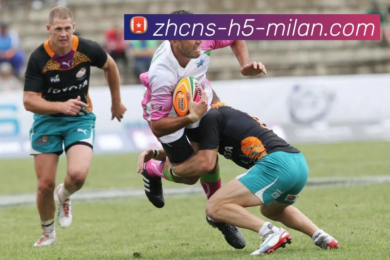 App Interface Preview